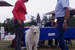 Meilleur de Sexe Opposé Sorges 2019